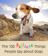 100 Silliest Things People Say About Dogs