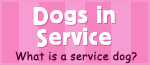 What is a service dog, pit bull attack victim