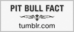 Pit bull trivia: From animal attacks to attacks on humans, the point is, these attacks are continuous