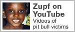 Videos of pit bull victims