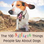100 silliest things people say about dogs