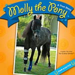 Molly the Pony