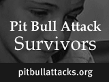 Stories of pit bull attack survivors. Part one in a series of five by DogsBite.org. 
