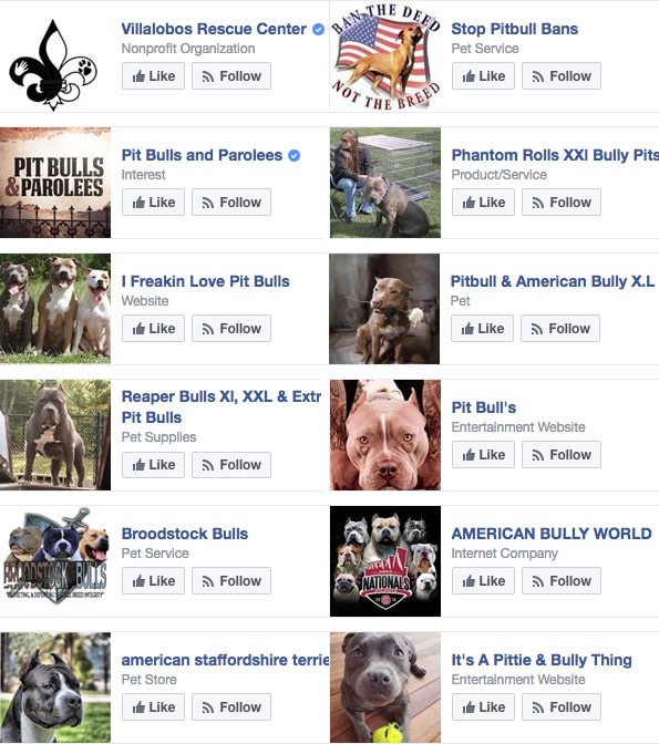 facebook likes, woman killed by her pit bulls