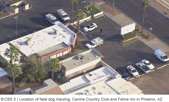 fatal dog mauling, Akita Advocates, Canine Country Club and Feline Inn