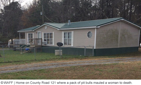home on county road 121 pit bulls kill woman