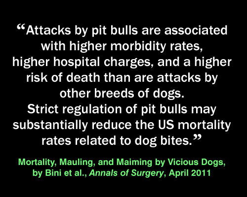 Meme: pit bull injuries, Mortality, Mauling and Maiming by Vicious Dogs