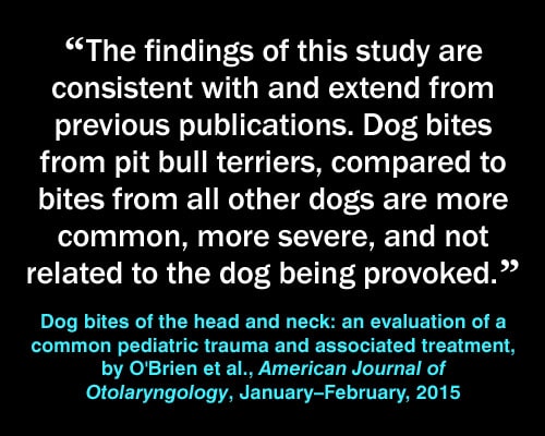 Meme: pit bull injuries, Dog Bites of the Head and Neck: An Evaluation of a Common Pediatric Trauma