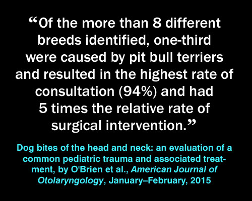 Meme: pit bull injuries, Dog Bites of the Head and Neck: An Evaluation of a Common Pediatric Trauma