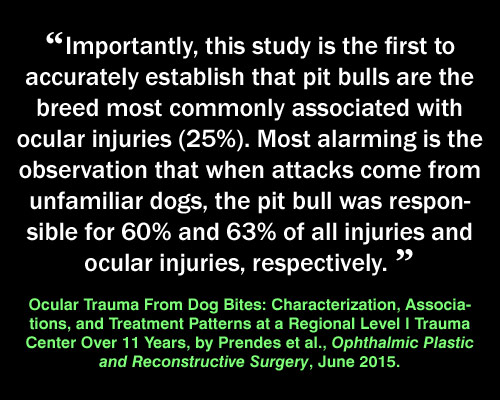 Meme: pit bull injuries, Ocular Trauma From Dog Bites: Characterization, Associations, and Treatment Patterns at a Regional Level I Trauma Center Over 11 Years