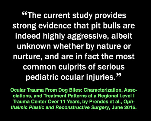 Meme: pit bull injuries, Ocular Trauma From Dog Bites: Characterization, Associations, and Treatment Patterns at a Regional Level I Trauma Center Over 11 Years