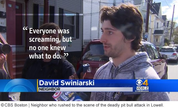 David Swiniarski no one knew what to do during pit bull attack