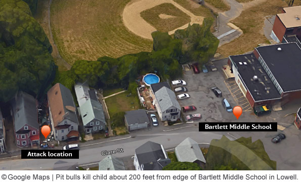 pit bulls kill lowell boy next to bartlett middle school