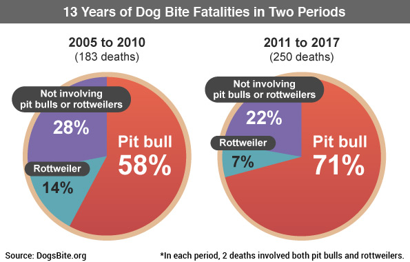 Pitbull Dog Years Chart