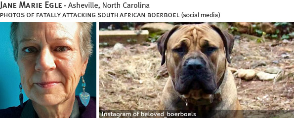 Jane Marie Egle fatal dog attack - breed identification photograph