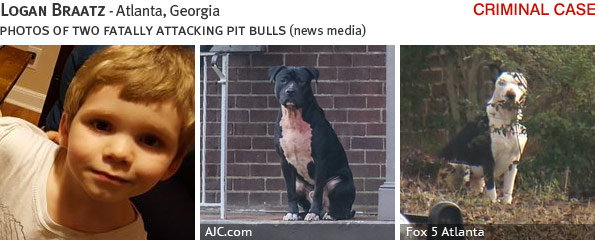 Logan Braatz fatal dog attack - pit bull, breed identification photograph