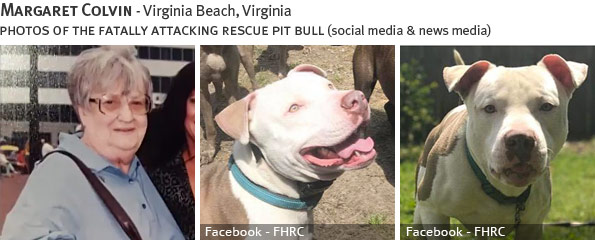 Margaret Colvin fatal dog attack - pit bull, breed identification photograph