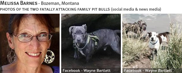 Melissa Barnes fatal dog attack - pit bull, breed identification photograph