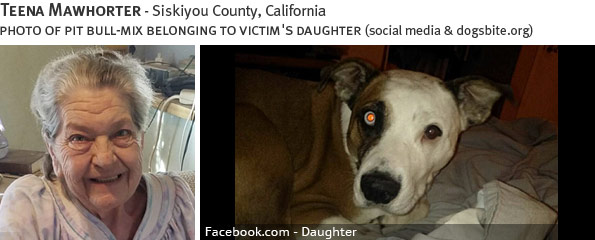 Teena Mawhorter fatal dog attack - pit bull, breed identification photograph