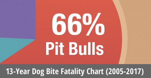 Chart 13-years of us dog bite fatalities statistics, 2005 to 2017