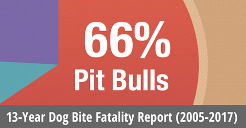 13 year dog bite fatality report by dogsbite.org