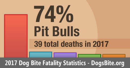 Chart 2017 dog bite fatality statistics