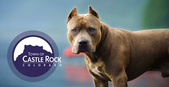 castle rock should keep pit bull ban