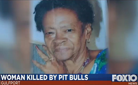 two pit bulls kill woman gulfport mississippi