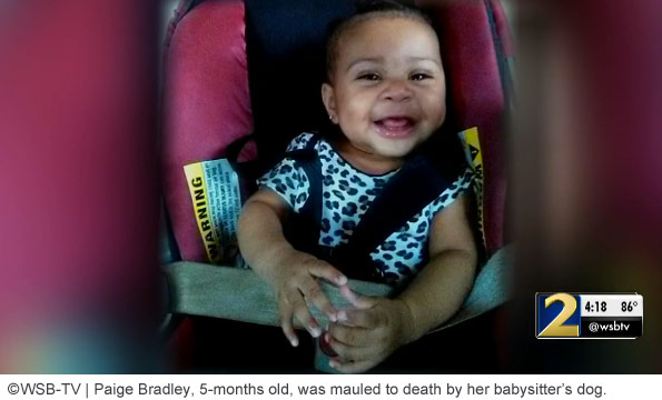 Baby Paige Bradly killed by babysitter's dog