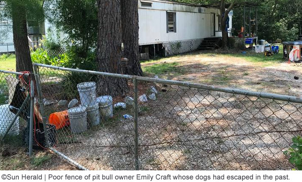 inadequate fencing by pit bull owner emily craft after fatal attack