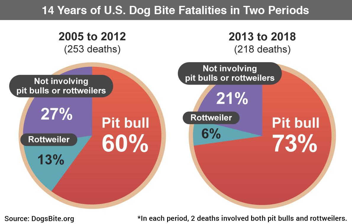 how many pitbull attacks were there in 2018