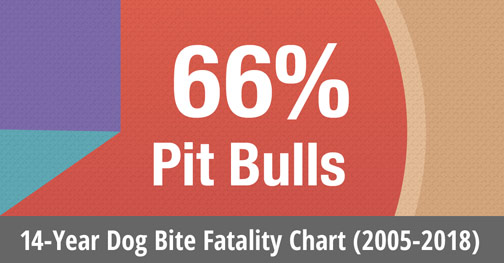 Chart - 14-years of us dog bite fatalities statistics, 2005 to 2018