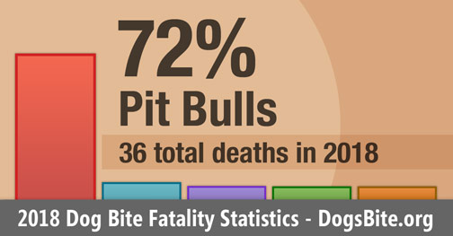 Chart - 2018 dog bite fatality statistics