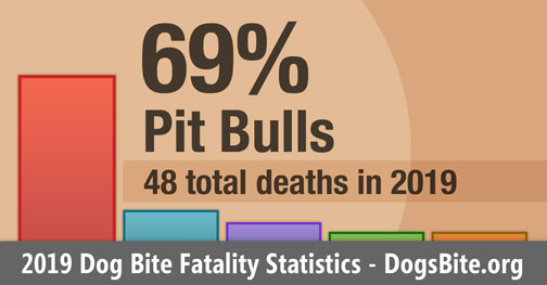 Chart - 2019 dog bite fatality statistics