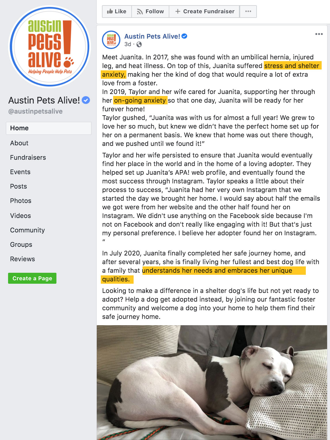2020 Edition 125 Behavior Terms For Shelter Dogs Decoded That Mask Aggression In Dogs Available For Adoption Dogsbite Blog