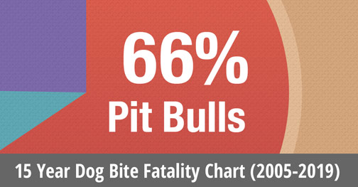 Chart - 15 years of us dog bite fatalities statistics, 2005 to 2019