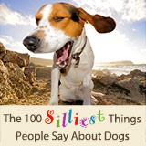 100 silliest things people say about dogs