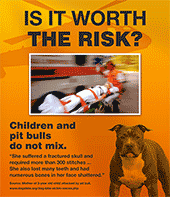 safety flyer pit bulls and children do not mix