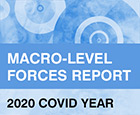 Macro-Level Forces Report 2020