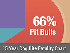 15 Year Dog Bite Fatality Chart 2005-2019