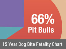 15 Year Dog Bite Fatality Chart 2005-2019