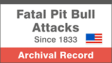 Fatal pit bull attacks