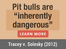 Maryland Court of Appeals Holds Pit Bull Owners and Landlords Accountable After an Attack