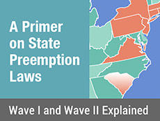 a primer on state preemption laws barring local pit bull ordinances