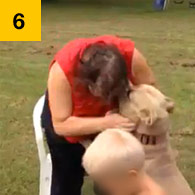 Worst Ice Bucket Challenge, pit bull attacks grandmother