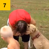 Worst Ice Bucket Challenge, pit bull attacks grandmother