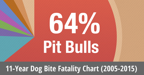 11 year dog bite fatality chart