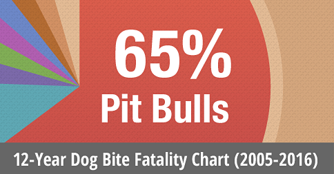 12 year dog bite fatality chart