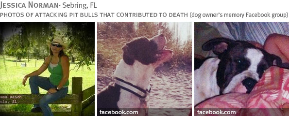 Fatal dog attack breed identification 2014
