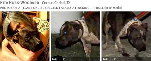 Rita Ross-Woodard fatal dog attack - breed identification photograph